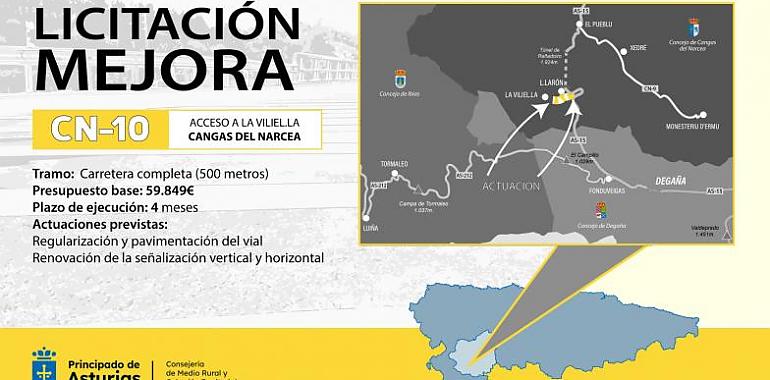 A licitación las obras de mejora de la carretera CN-10 en Cangas del Narcea por un montante de 60.000 euros