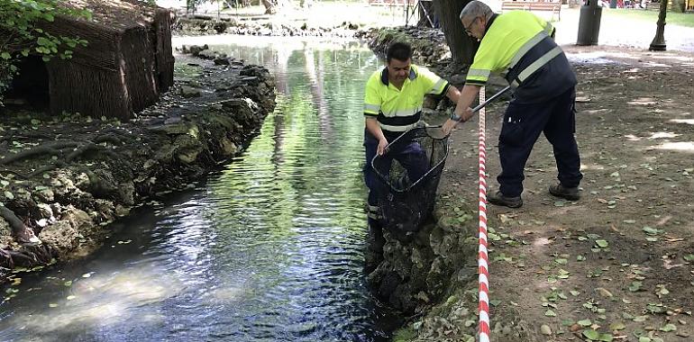 Finaliza la renovación del estanque del Parque de Ferrera 