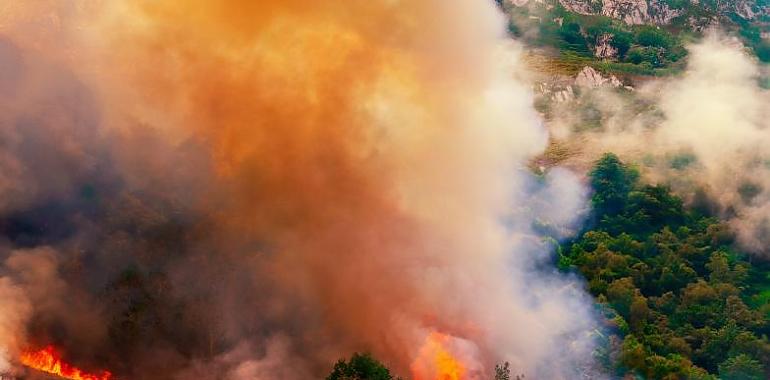 A estas horas se contabilizan en Asturias cuatro incendios forestales