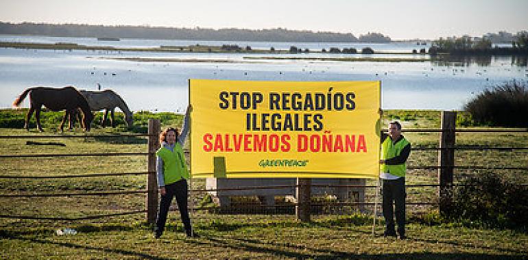 Regadíos ilegales que la Junta de Andalucía y el Gobierno deben erradicar si pretenden diseñar un plan creíble para salvar Doñana