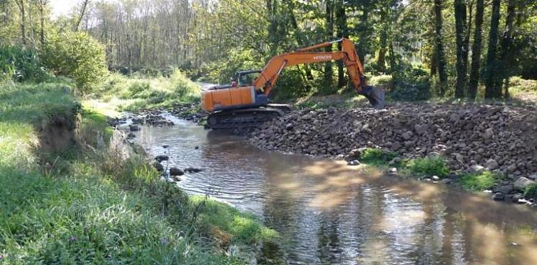 La Confederación Hidrográfica del Cantábrico sigue trabajando activamente en la conservación de varios ríos asturianos