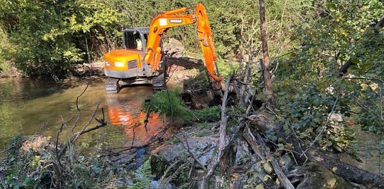 Ríos renovados: La mejora fluvial de Asturias de la mano de la Confederación Hidrográfica del Cantábrico