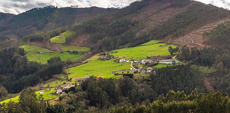 Inversión de 90.000 euros del Principado para revitalizar la Ruta de los Pañeiros en la Reserva Oscos-Eo