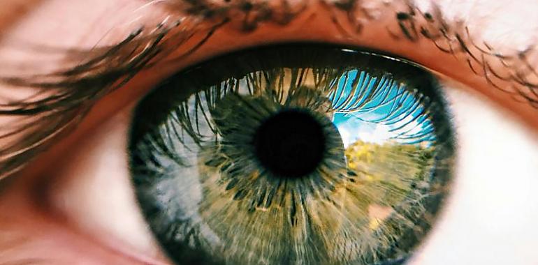 LA FUNDACIÓN DE INVESTIGACIÓN OFTALMOLÓGICA DESVELA CURIOSIDADES Y AVANCES EN SALUD OCULAR