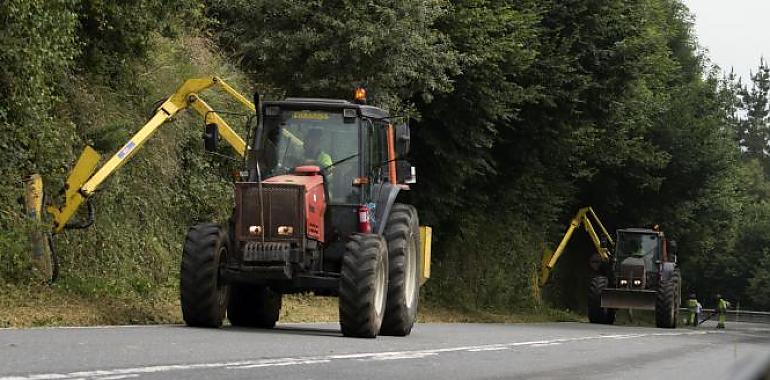 A licitación por siete millones la contratación de actuaciones de desbroces y limpiezas de la red de carreteras