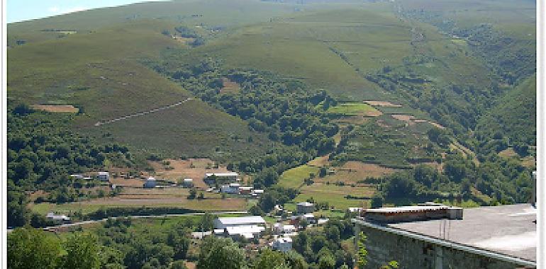 Fundación Caja Rural de Asturias: Un bosque de innovación para un futuro mejor