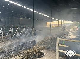 Incendio en una ganadería de Valdés con varias vacas afectadas