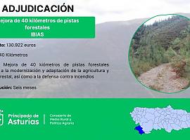 Reparación de 40 kilómetros de pistas en los montes de Ibias: Un proyecto de 130.000 euros para modernizar la agricultura y la defensa contra incendios