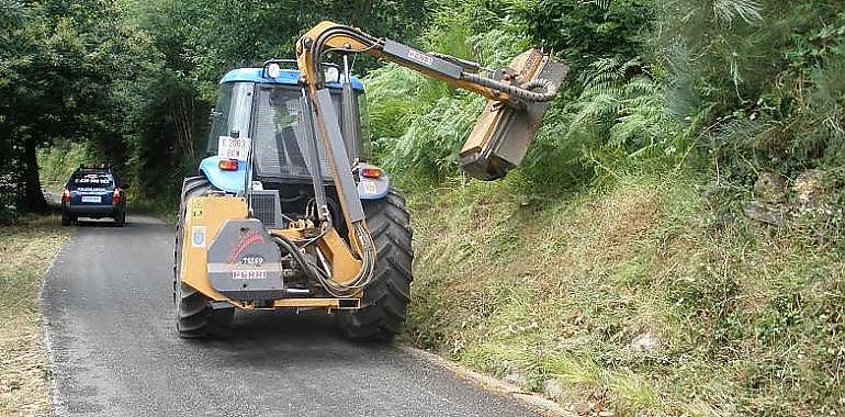 Carreteras autonómicas más seguras y limpias: Asturias invierte 633.238 euros en desbroce y limpieza