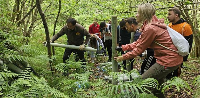 Merkle y FAPAS se unen para proteger el medio ambiente en Asturias: Eliminan mil microplásticos en Belmonte de Miranda