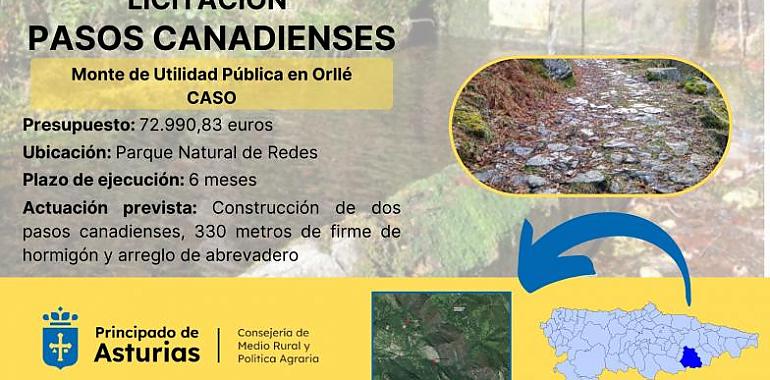 Proyecto de 73.000 euros para mejorar infraestructuras en el Monte de Orllé, Caso