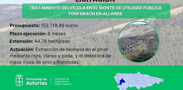 Inversión de 152.000 euros en tratamientos selvícolas en el Monte Fonfaraón para reducir riesgo de incendios