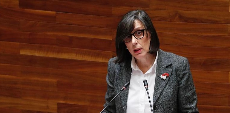 Nieves Roqueñí aclara: Ningún proyecto de almacenamiento energético en baterías está autorizado en Asturias