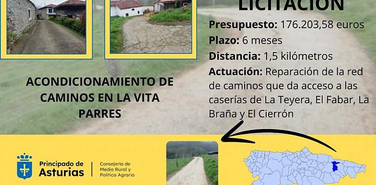 Se licita por 176,000 euros la mejora de 1,5 kilómetros de caminos en La Vita, Parres