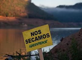 Primer litigio climático de España que llega al Tribunal Constitucional