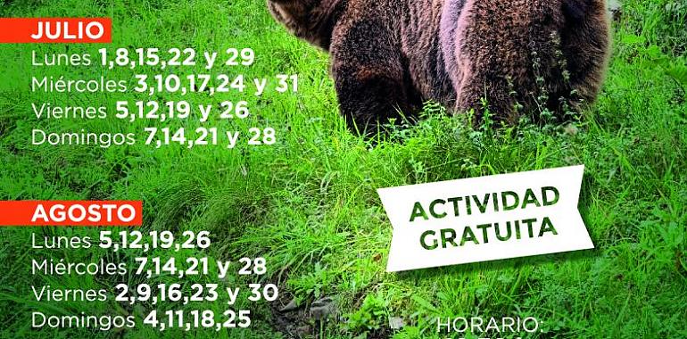 Descubre a los osos de Asturias: Abiertas las inscripciones para los itinerarios de verano gratuitos