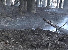 Tres millones de euros para recuperar terrenos forestales afectados por incendios