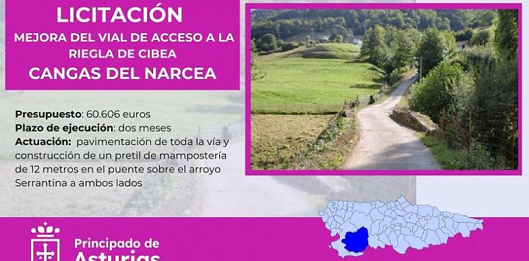 Proyecto de mejora del vial de acceso a Riegla de Cibea en Cangas del Narcea