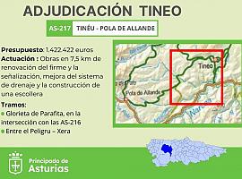 Más de 1,17 Millones para modernizar la carretera AS-217 en Tineo