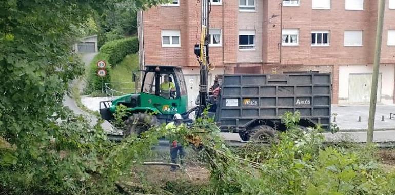 La Confederación Hidrográfica del Cantábrico inicia trabajos de mantenimiento en el Arroyo La Güeria