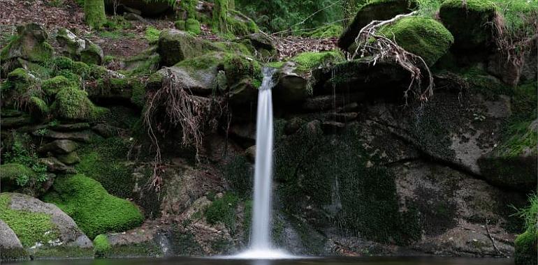 Impulsa a la recuperación ambiental de la cuenca del Río Güeña con una inversión de 427.000 euros