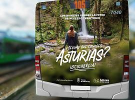 Asturias te desafía: ¿De verdad conoces tu tierra ¡Redescúbrela este otoño!