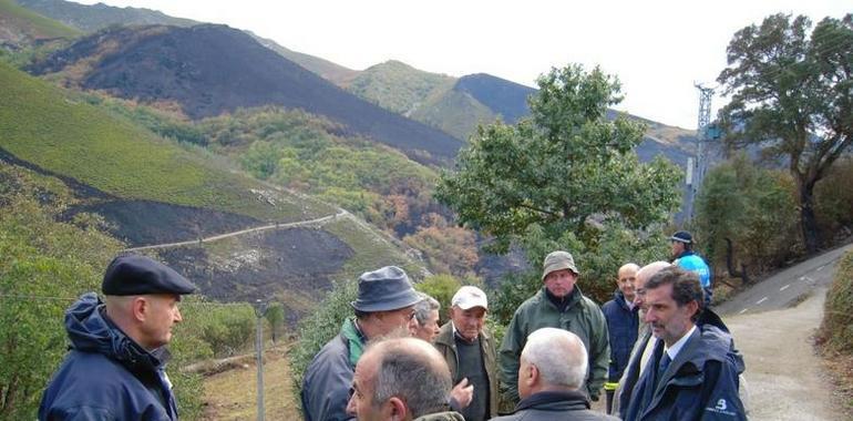 El Gobierno de Asturias prepara nuevas medidas de prevención de incendios