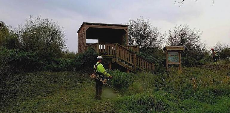 Más de 500.000 euros para la recuperación ambiental de la ría del Eo para proteger su biodiversidad