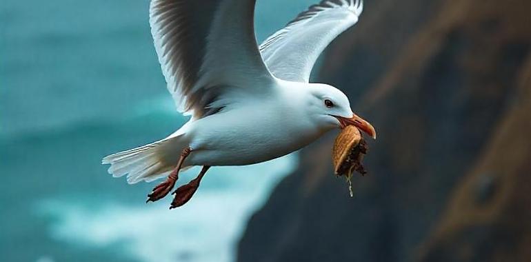 Una gaviota a la caza del bocadillo: Ataque en el patio de un instituto gijonés despierta preocupación entre los vecinos