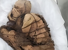 Detenido en Perú por llevar a su "novia" momificada de 800 años en una bolsa de viaje