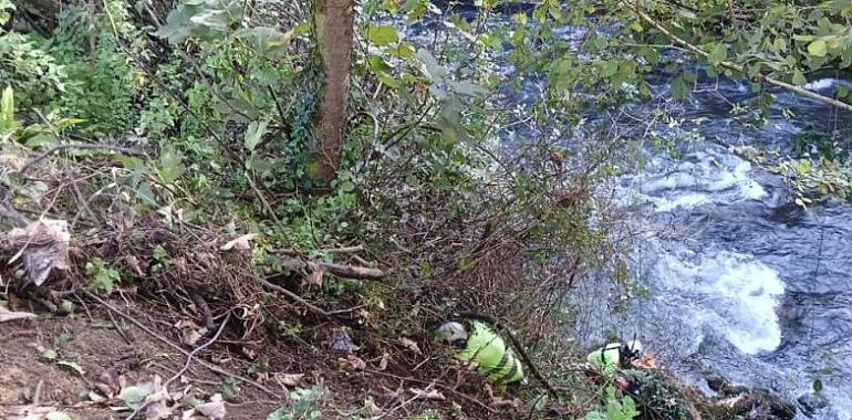 La Confederación Hidrográfica del Cantábrico inicia labores de conservación en el río Trubia para proteger la Senda del Oso en Santo Adriano