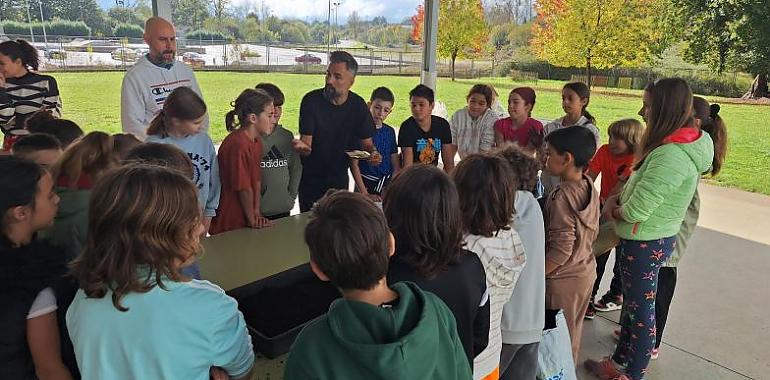 Asturias impulsa la educación ambiental con la Red de Huertos Escolares Ecológicos en más de 140 centros