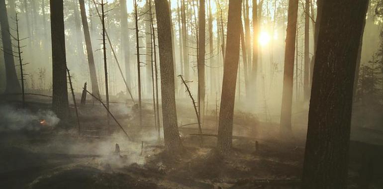 Desactivado el INFOPA tras la extinción de los incendios forestales