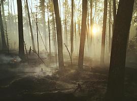 Desactivado el INFOPA tras la extinción de los incendios forestales