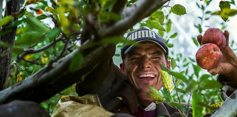 Asturias lanza el plan Incorpórate al Agro: hasta 100.000 euros para impulsar el relevo generacional y abrir oportunidades en el campo