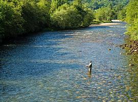 Medio Rural impulsa con 230.000 euros la sostenibilidad de la caza y la pesca fluvial en Asturias