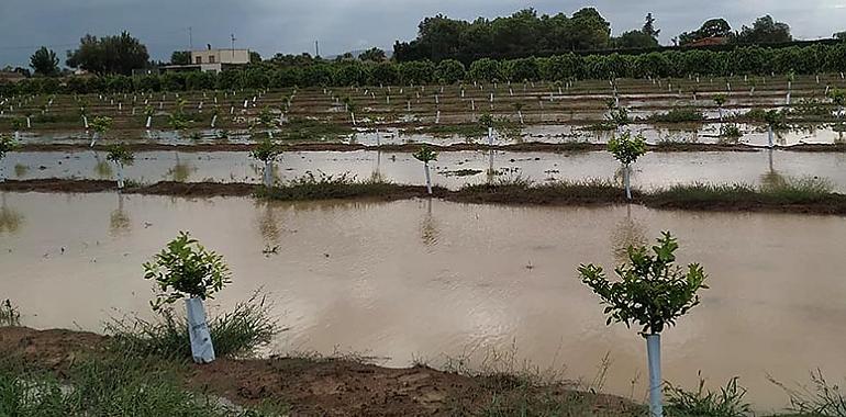 Agroseguro inicia el pago de 13,21 millones en indemnizaciones tras la DANA de octubre