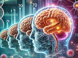 ¿Sabías que tu cerebro empieza a envejecer a los 57 Científicos descubren las edades clave para frenar su deterioro