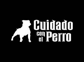 Tragedia en Gijón: Perro potencialmente peligroso mata a un pomerania en segundos