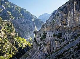 Inversión récord de 7,5 millones en la vertiente asturiana de los Picos de Europa en 2025: conservación y desarrollo en el punto de mira