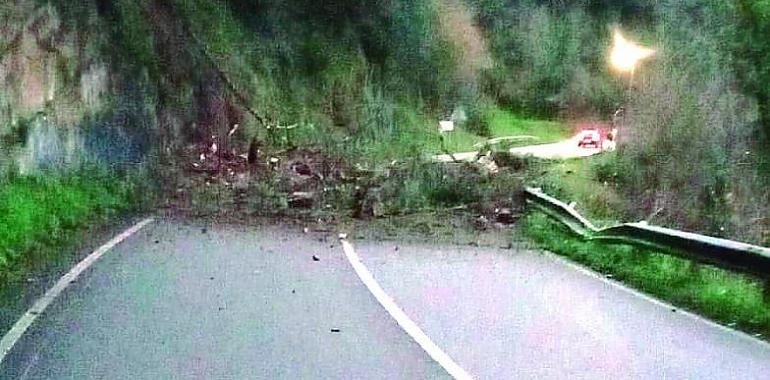 Desprendimiento de rocas interrumpe la carretera AS-227 entre Belmonte y Somiedo hasta el martes