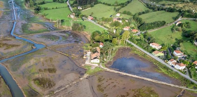 Apuesta por la recuperación ambiental: 1,62 millones para restaurar los humedales y porreos de la ría de Villaviciosa