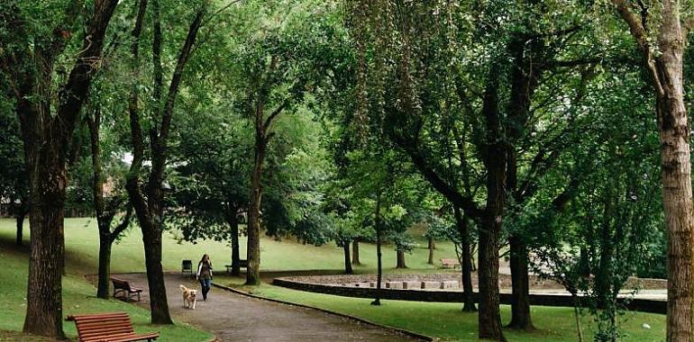 Avilés refuerza su masa arbórea: 127 nuevos árboles plantados en 2024