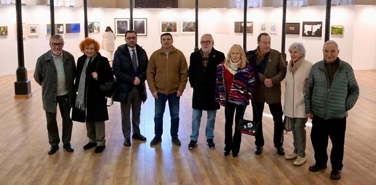 La plaza de Trascorrales celebra el arte asturiano con las exposiciones "El bodegón como inspiración" y "Paisaje Asturiano. Reflexiones"