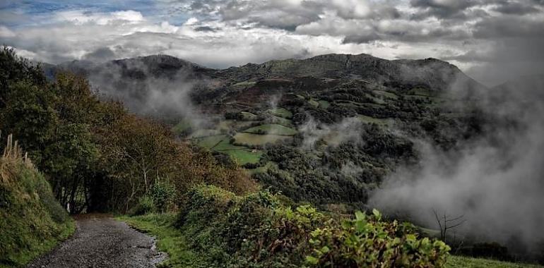 Blindaje a los montes asturianos: 1,3 millones para prevenir incendios forestales en parroquias rurales