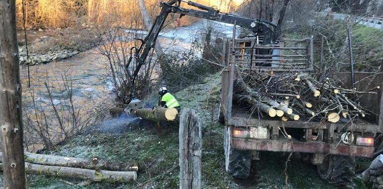 La Confederación Hidrográfica del Cantábrico culmina trabajos de mantenimiento en el río Aller para prevenir inundaciones