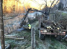 La Confederación Hidrográfica del Cantábrico culmina trabajos de mantenimiento en el río Aller para prevenir inundaciones