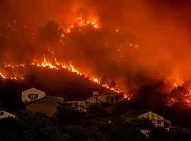 El fuego se dispara en Asturias: 491 incendios y más de 5.000 hectáreas quemadas en seis meses