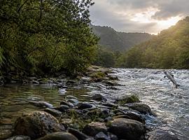 Cero en el Eo y cupo agotado en el Narcea: la brecha salmonera que parte Asturias en dos