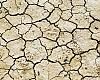 Asturias mantiene una posición privilegiada frente al avance de la desertificación, pero el cambio climático obliga a no bajar la guardia